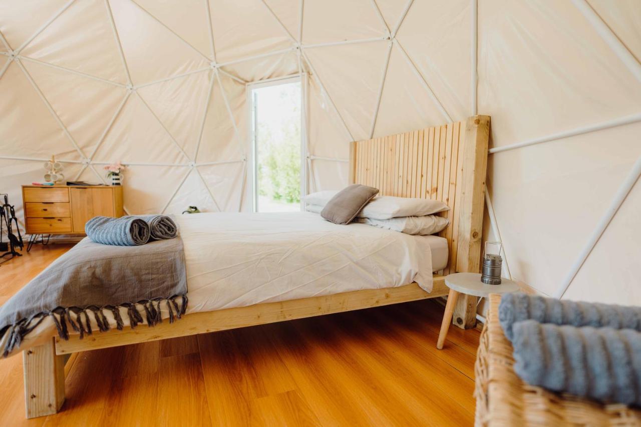 Beavers Retreat Glamping تينبي المظهر الخارجي الصورة